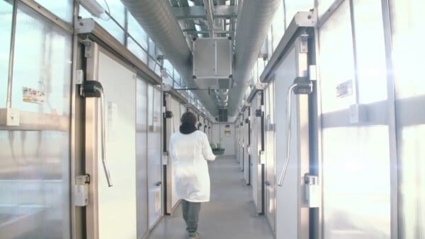 University of Sheffield - Undergraduate Study